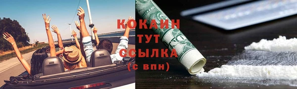 шишки Фурманов