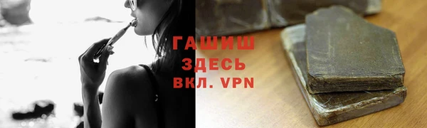 прущие грибы Кохма