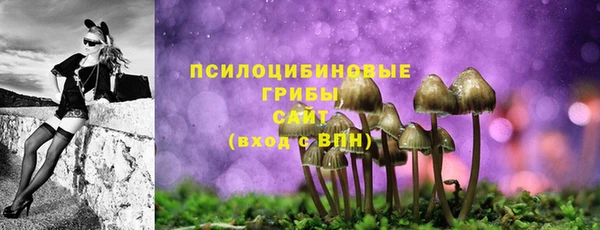 трава Дмитров