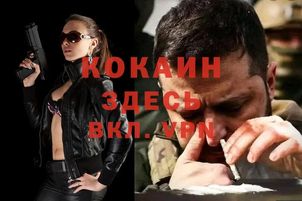 бошки Дмитриев